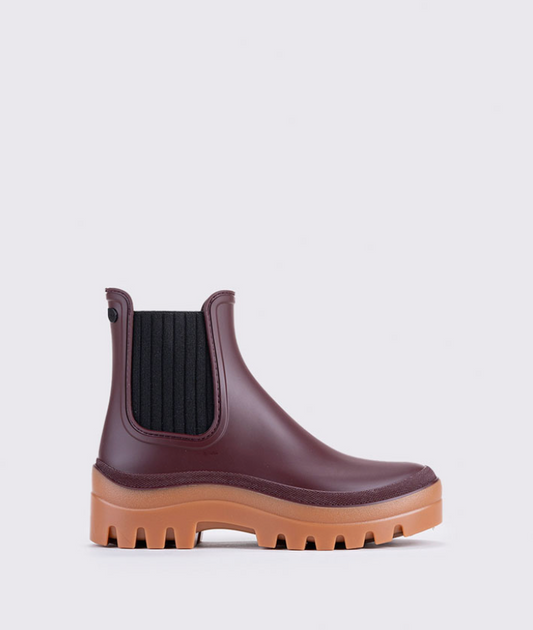 IGOR Ankle Boots  SOUL CARAMELO BOURDEOS